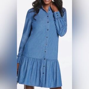 Draper James Long Sleeve Denim Dress